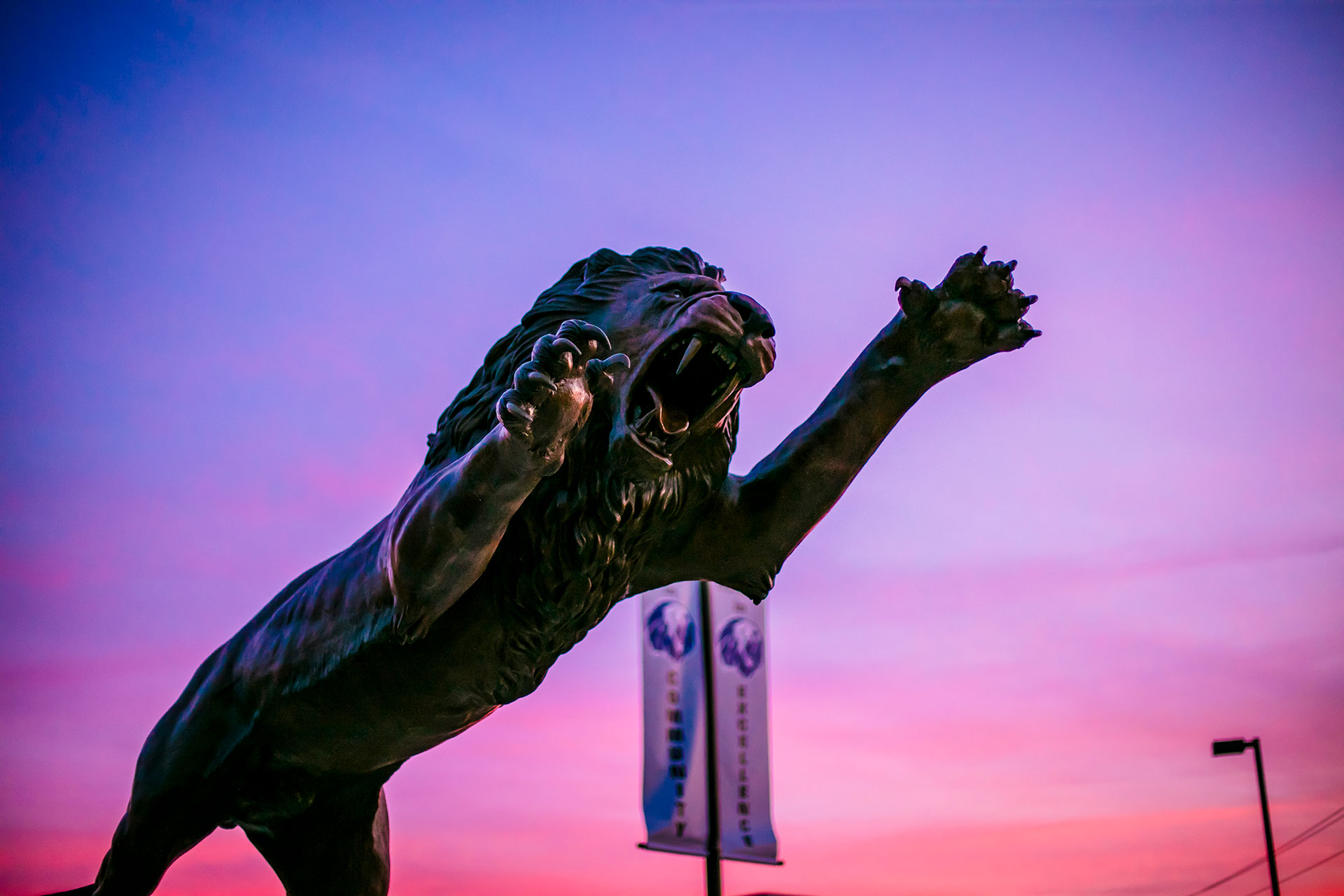 Numa Lion Statue
