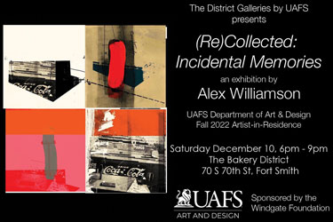 Alex Williamson, '(Re)Collected: Incidental Memories'