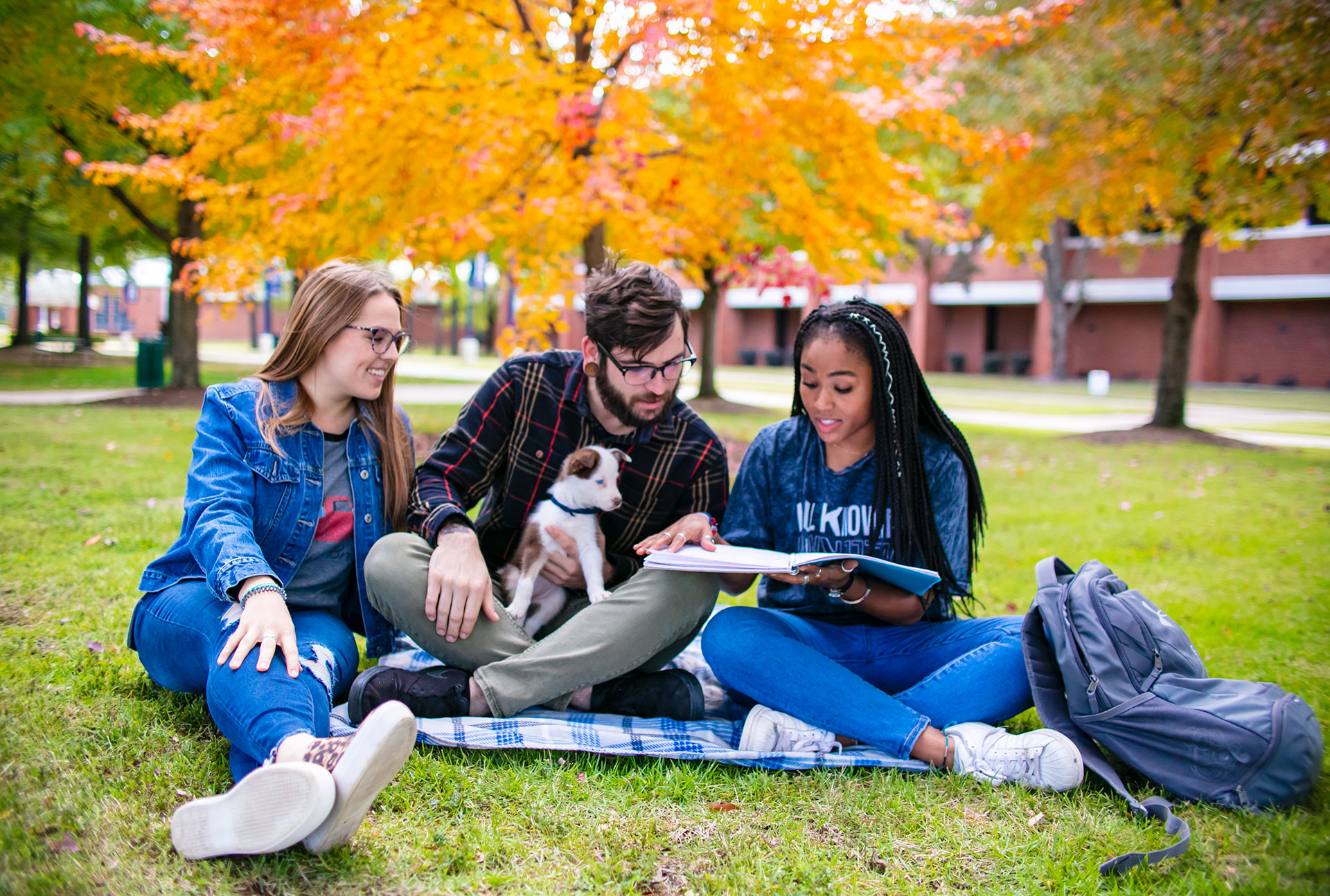 Students study on the campus green under fall trees
