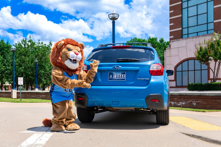 Lion Pride Plate