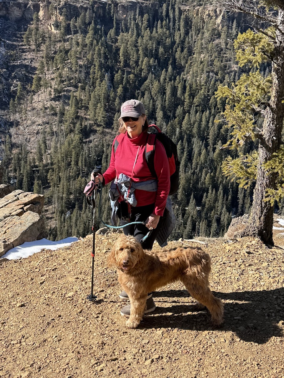 woman standing on mountain with dog