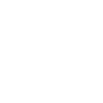 Intrepid Ambition Seal