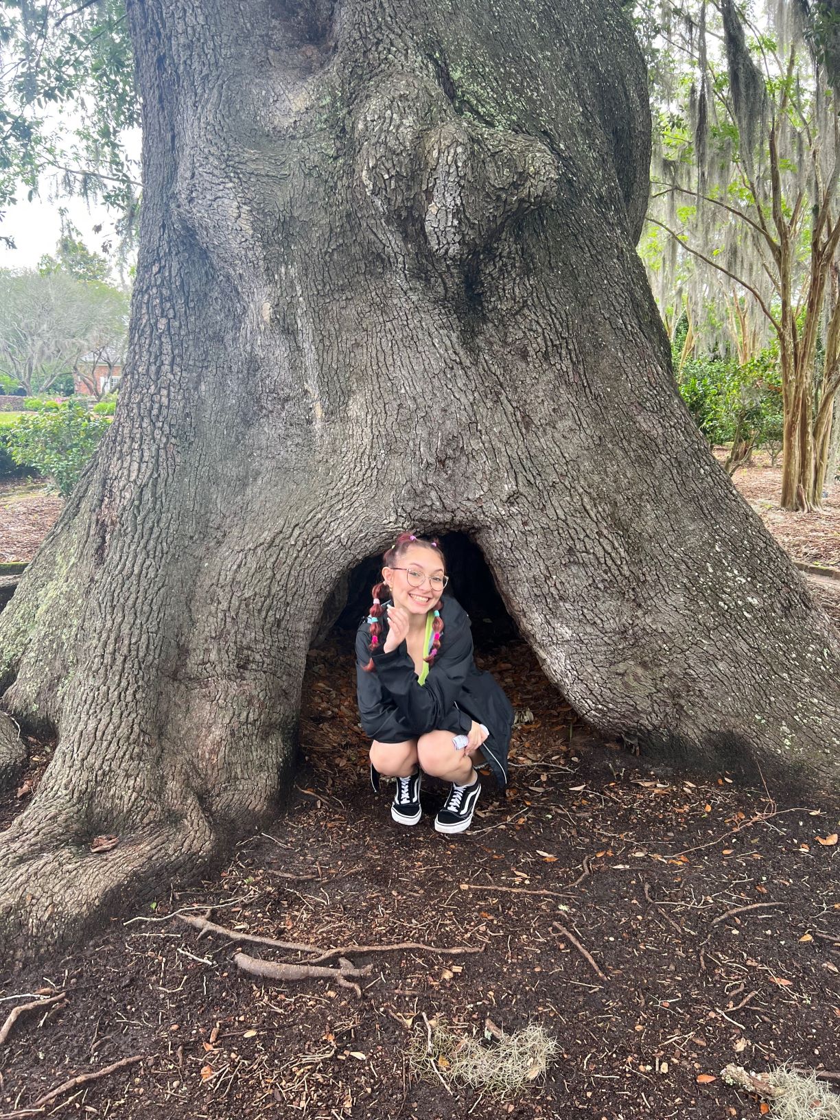 Student crouched in the roots of an old tree