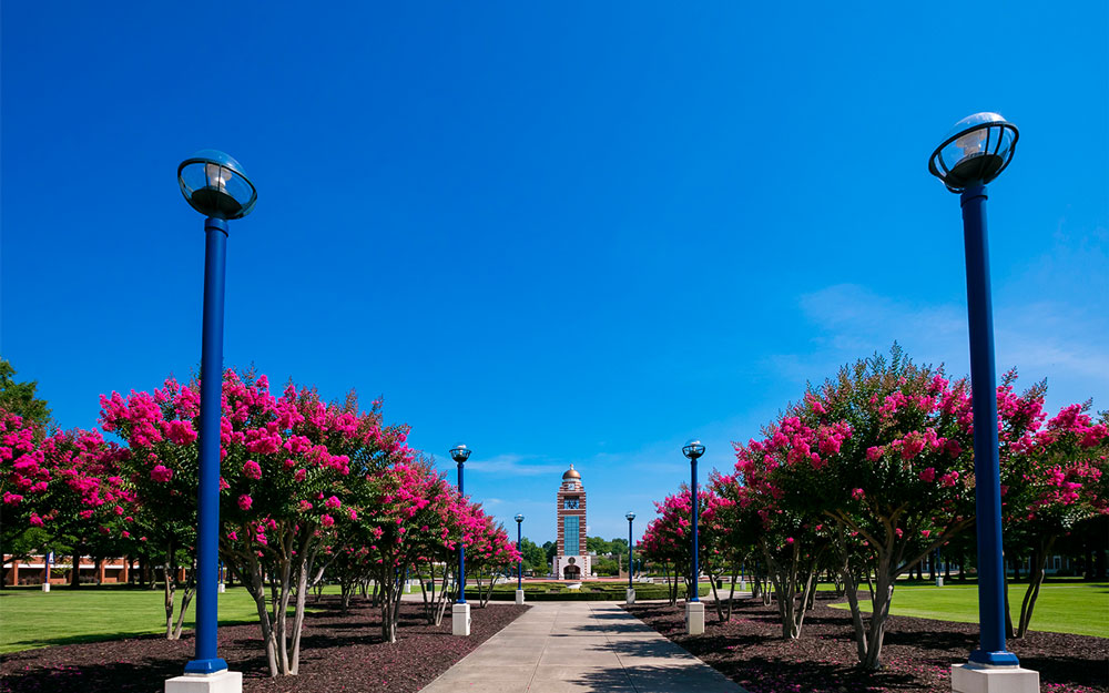UAFS Bell Tower is in the background. Image follows the path in the campus green with pink crepe myrtles on either side