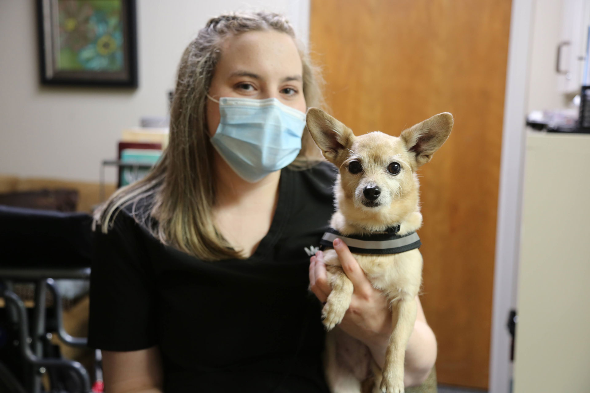 Individual in medical face mask holds a small dog in their arms. 