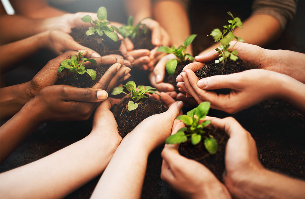 Seven pairs of hands holding small plants in dirt.
