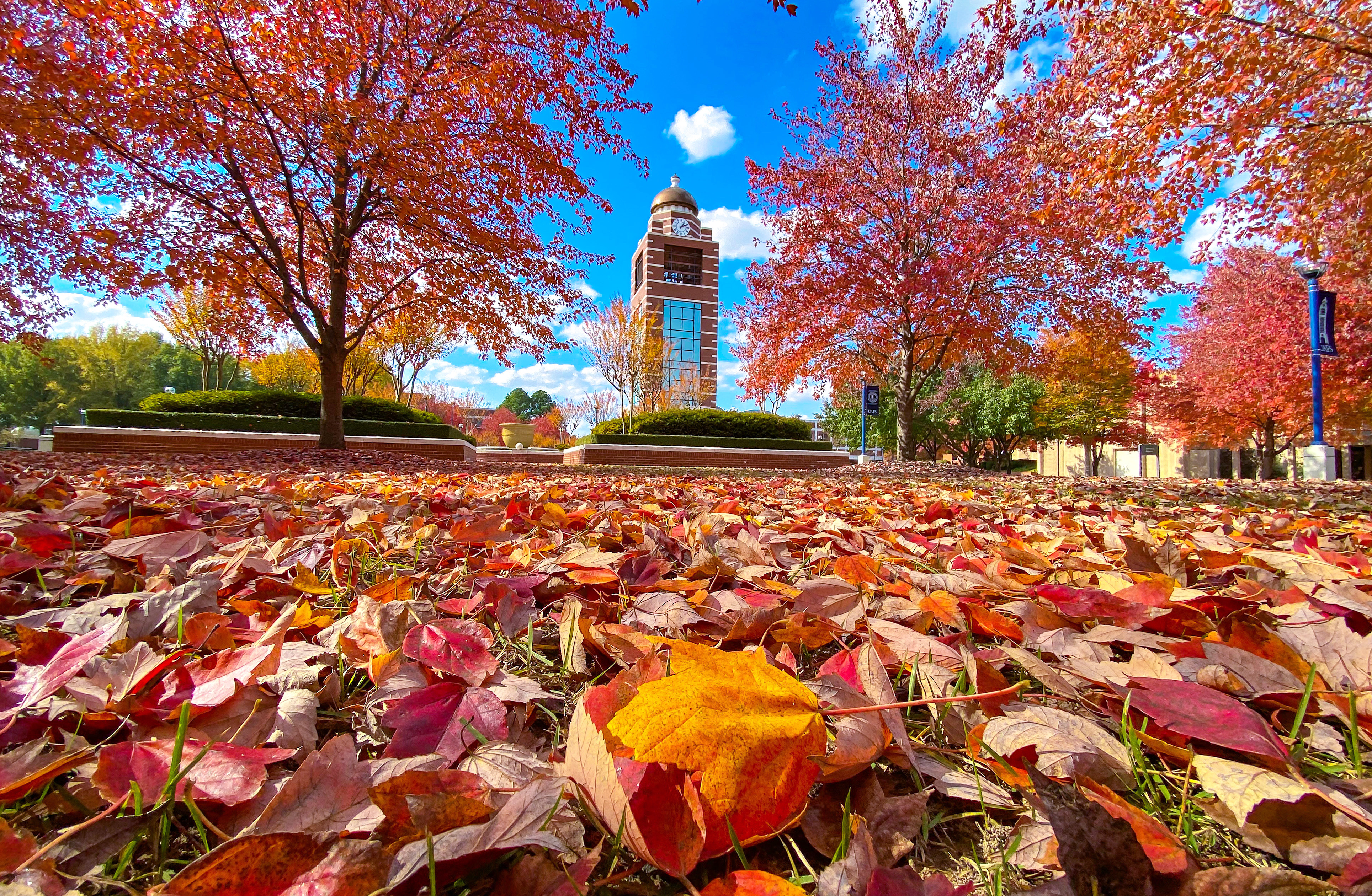 the bell tower at UAFS is sseen through fall leaves