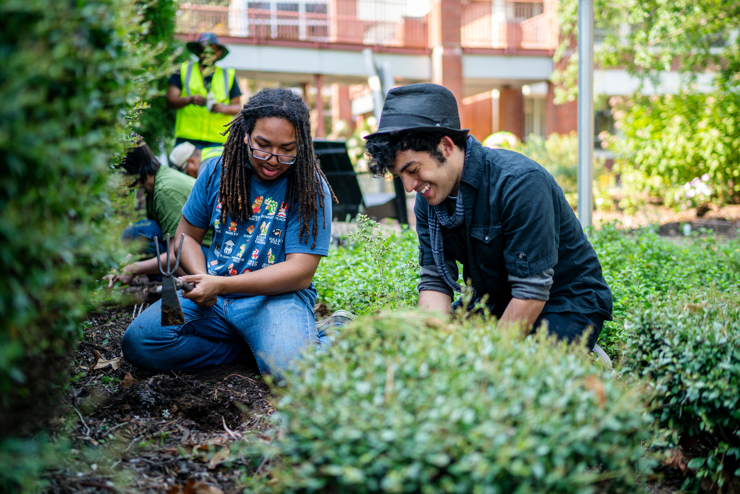 students plant vegetables on campus