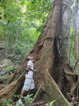 man leaning on an enormous tree