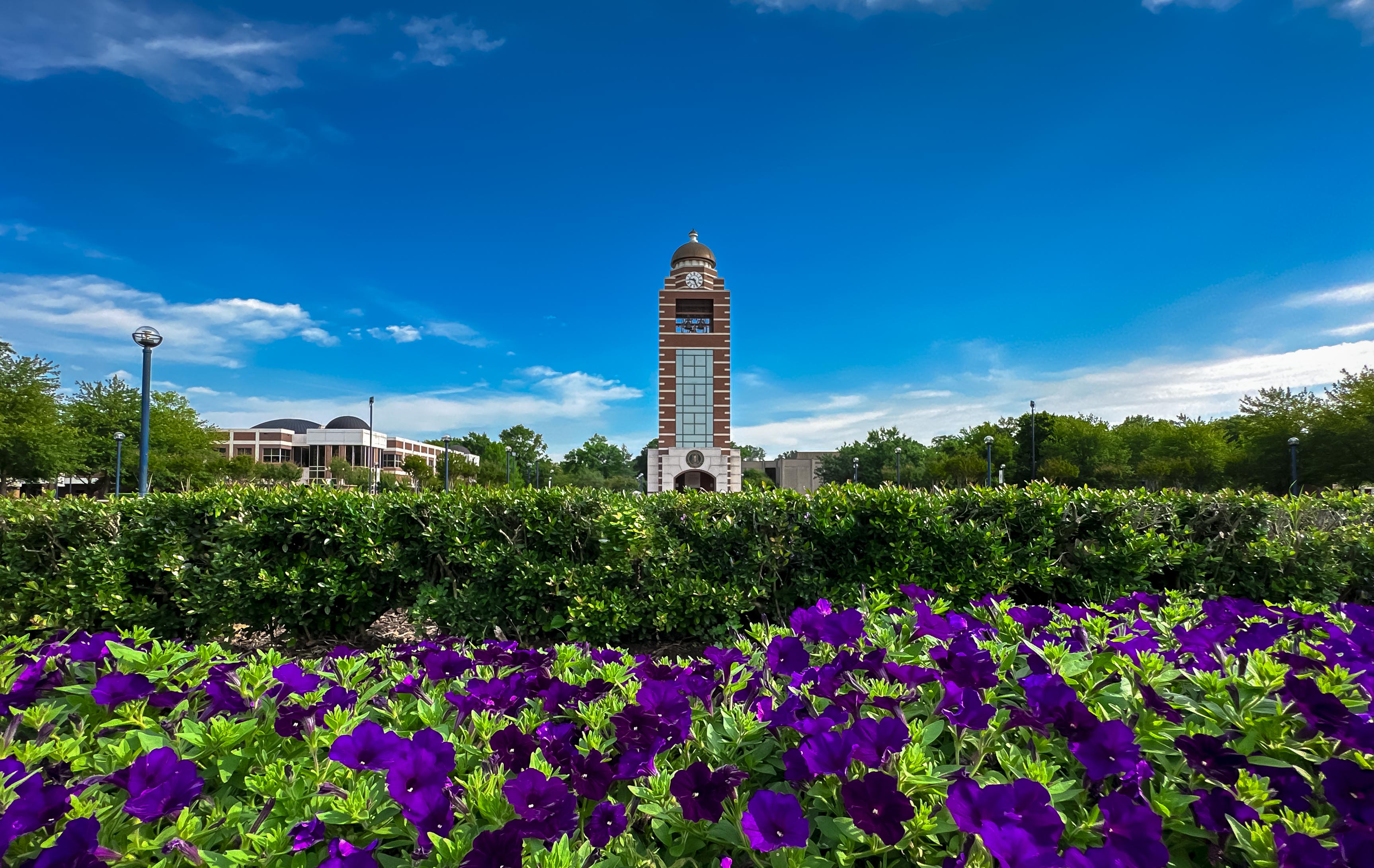 UAFS News Stories