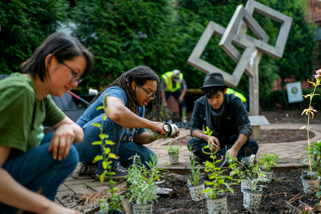 Students and faculty plant flowers surrounded by greenery