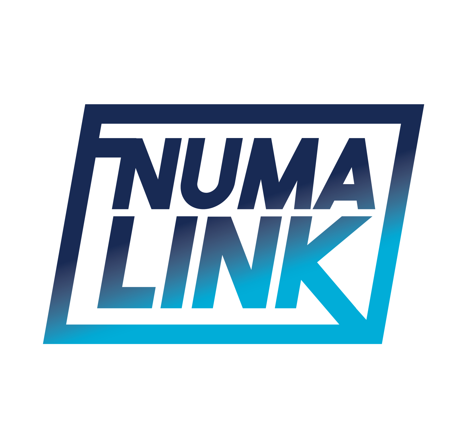 logo for NUMALink